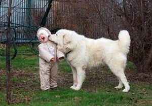 cute baby and fluffy dog