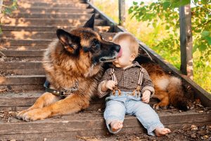 little boy on stairs