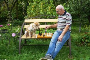 elderly man and dog chess