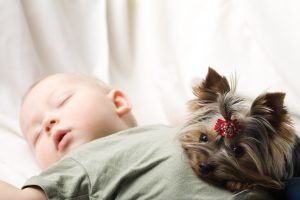 sleeping baby and dog