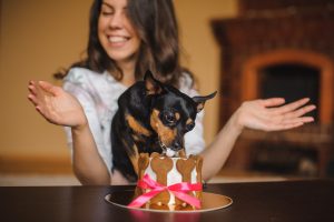 woman and toy terrier