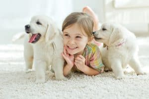 little girl with white dogs