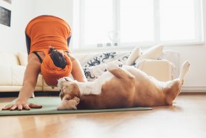 dog looking at yoga woman