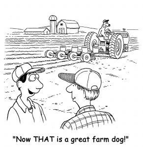 farm dog help comic