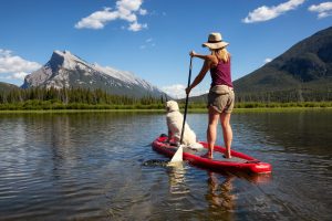 woman paddleboarding with dog