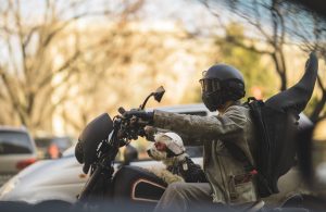 dog and man motorcycle