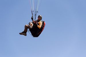 dog and man in harness