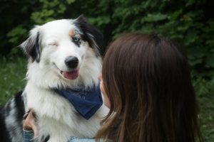 winking aussie dog