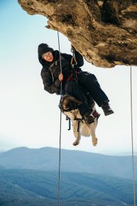 dog pulls on rope