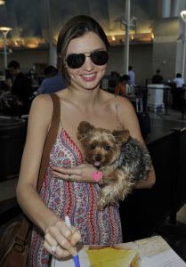 miranda kerr and dog