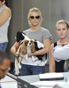 julianne hough with dogs