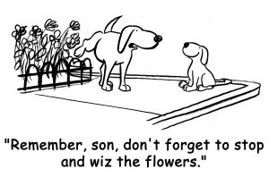dog son flowers comic
