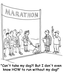 dog marathon cartoon