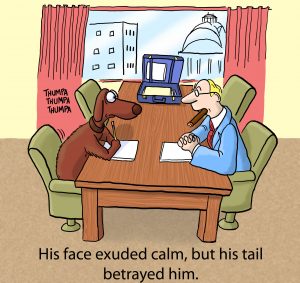 dog audit cartoon