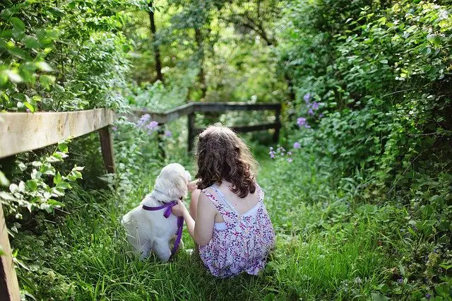 Potty Training Tips Puppies