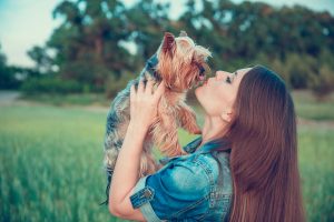 yorkshire terrier and woman