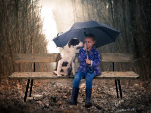 dog and girl rain cry umbrella