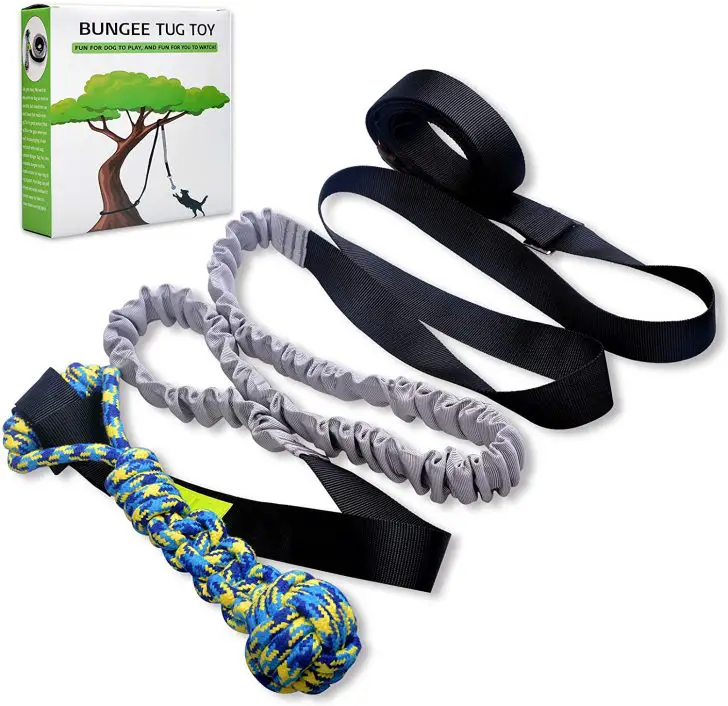 12 Best Outdoor Dog Toys - Backyard Toys Your Pup Will Love