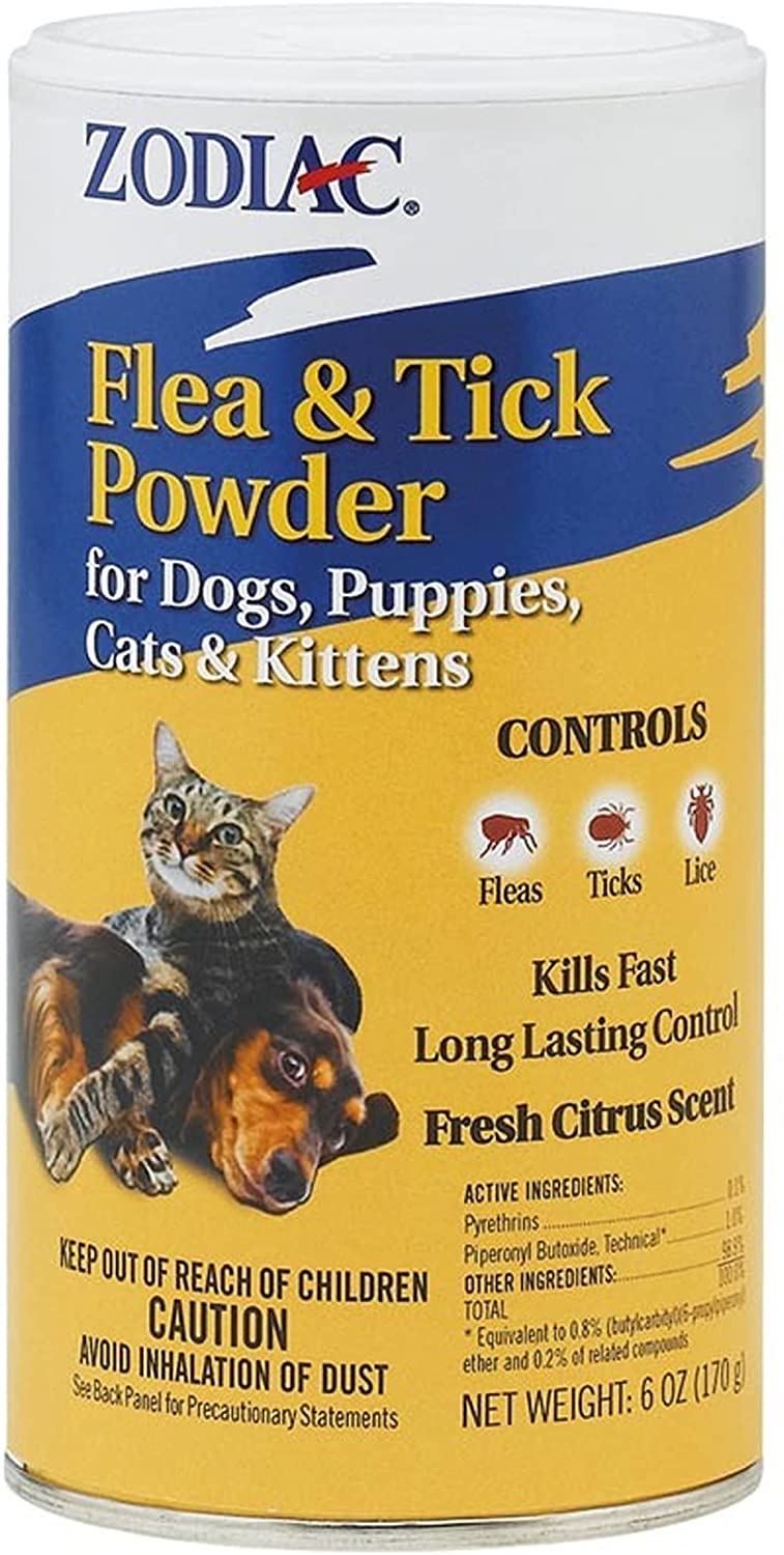 Best Flea Powder For Dogs Effective Remedies To Prevent Your Pooch Itching