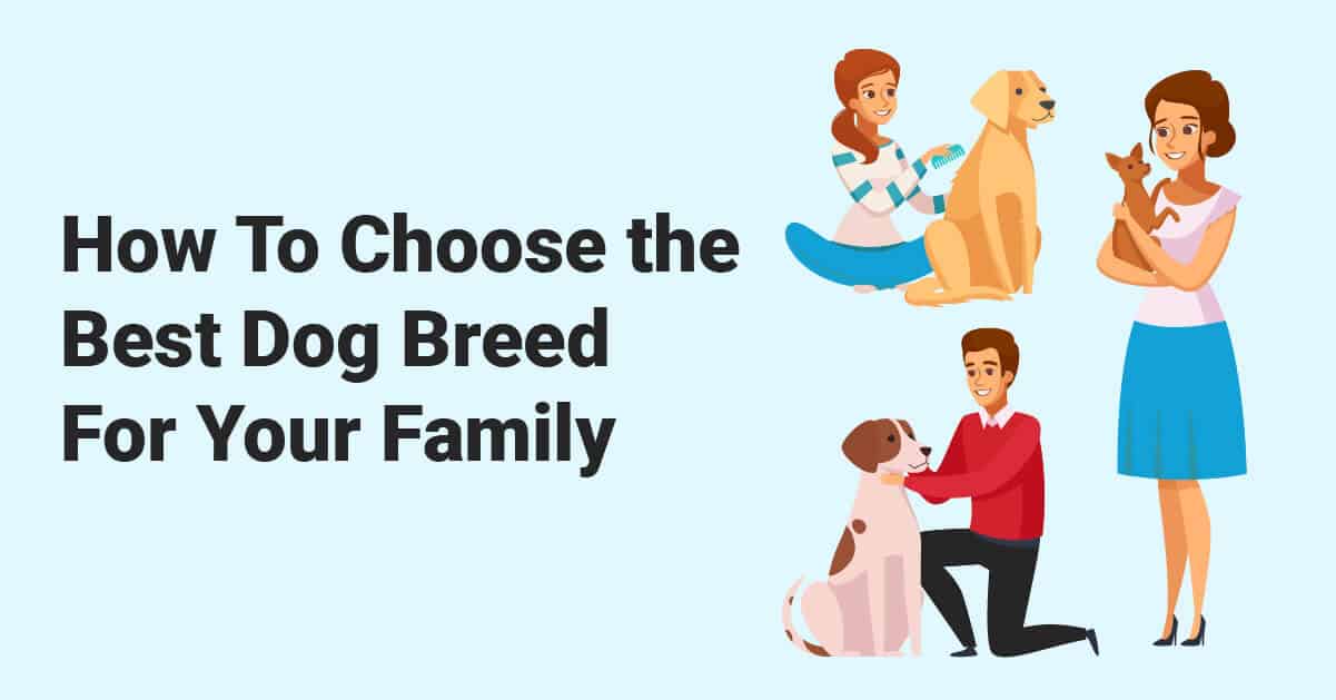 How To Choose the Best Dog Breed For Your Family