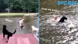 Owner Hops In The Lake -- And His Dog Jumps In To Save Him!
