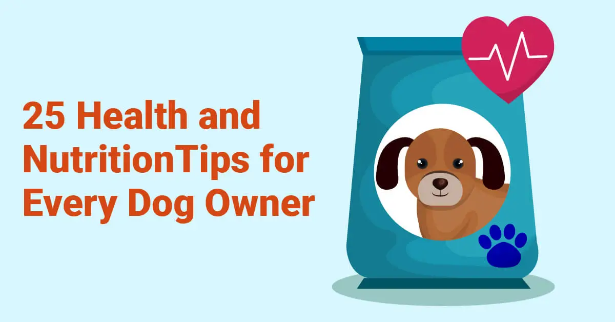 25 Health and Nutrition Tips for Every Dog Owner