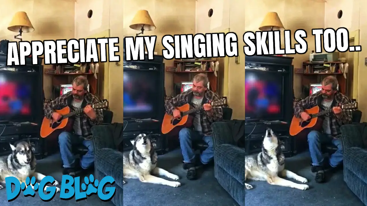 Dog Sings the Blues