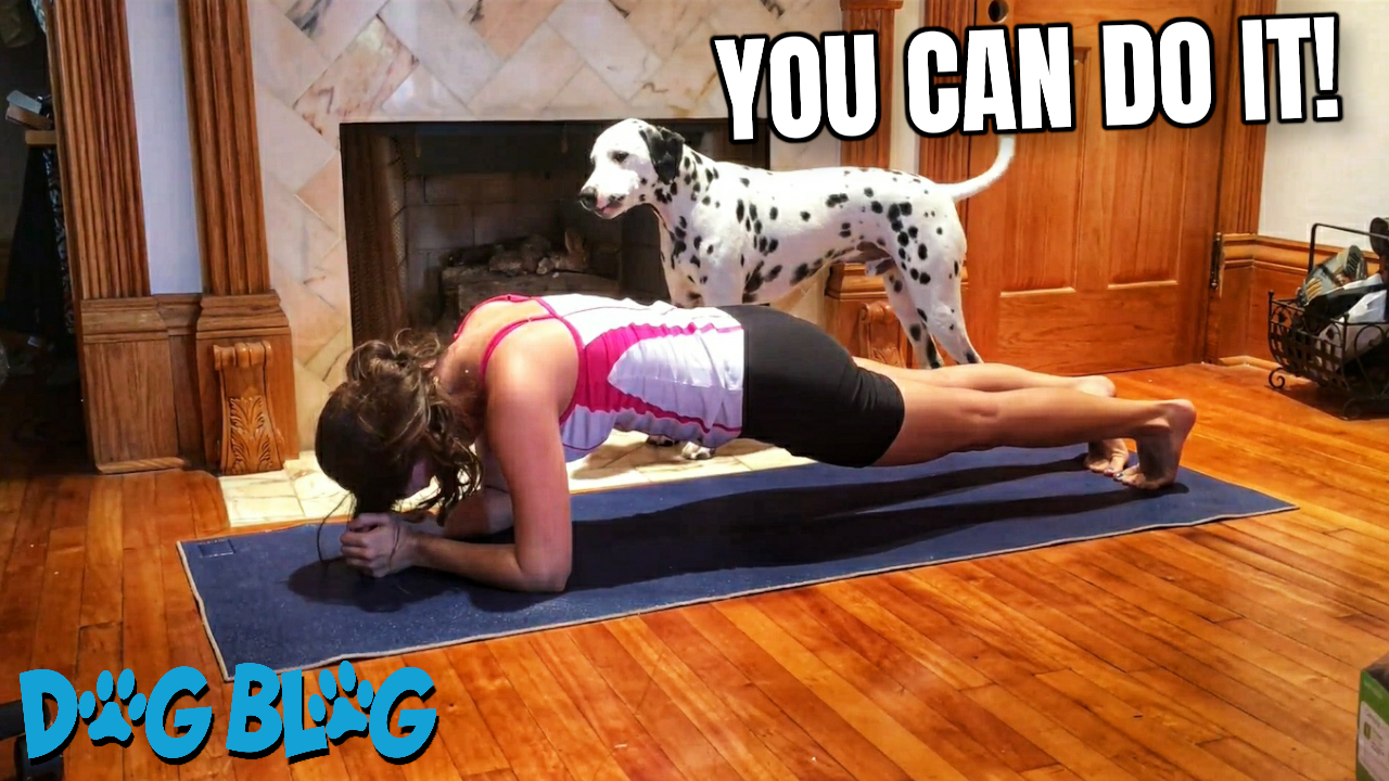 Dog Joins Mom's Yoga Routine