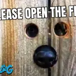 Dog Hole in the Fence