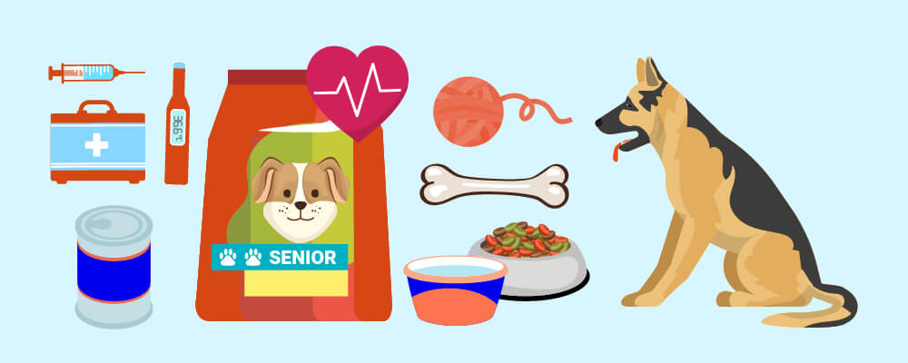 For Senior Dogs