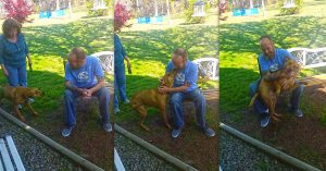 dog reunites with dad