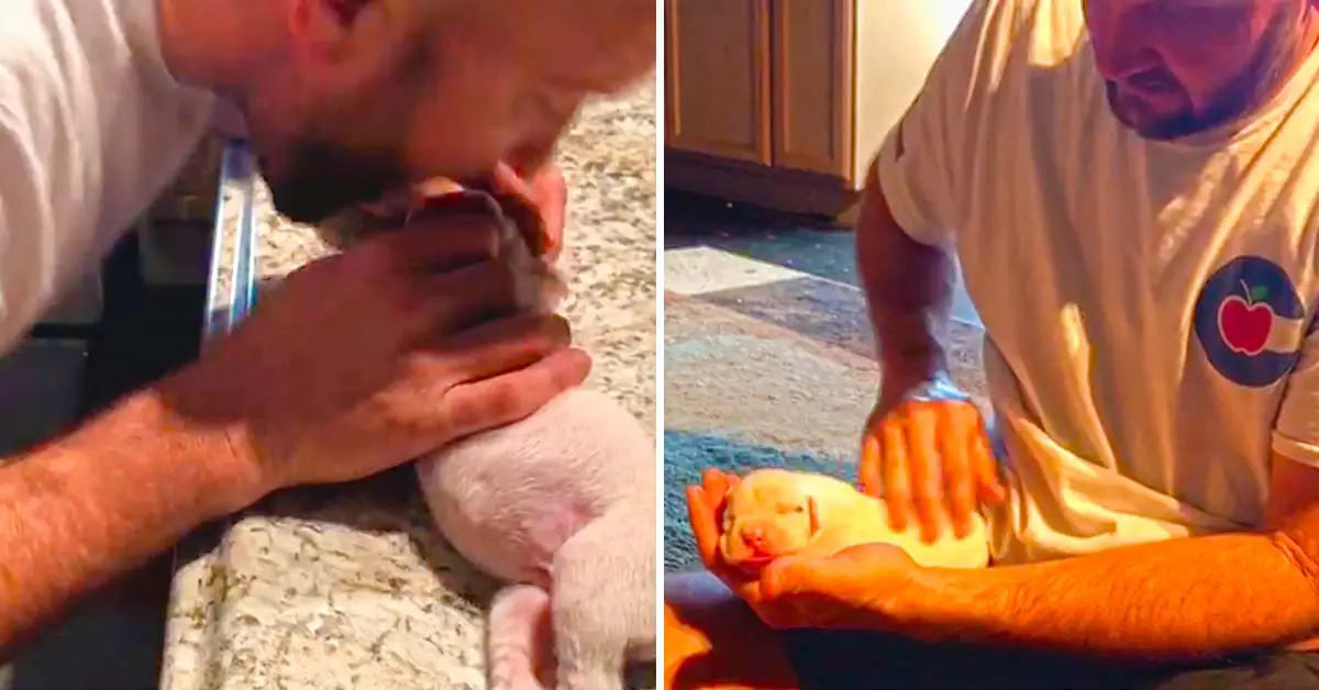 man revives puppy