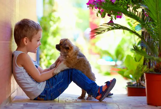 dog with boy