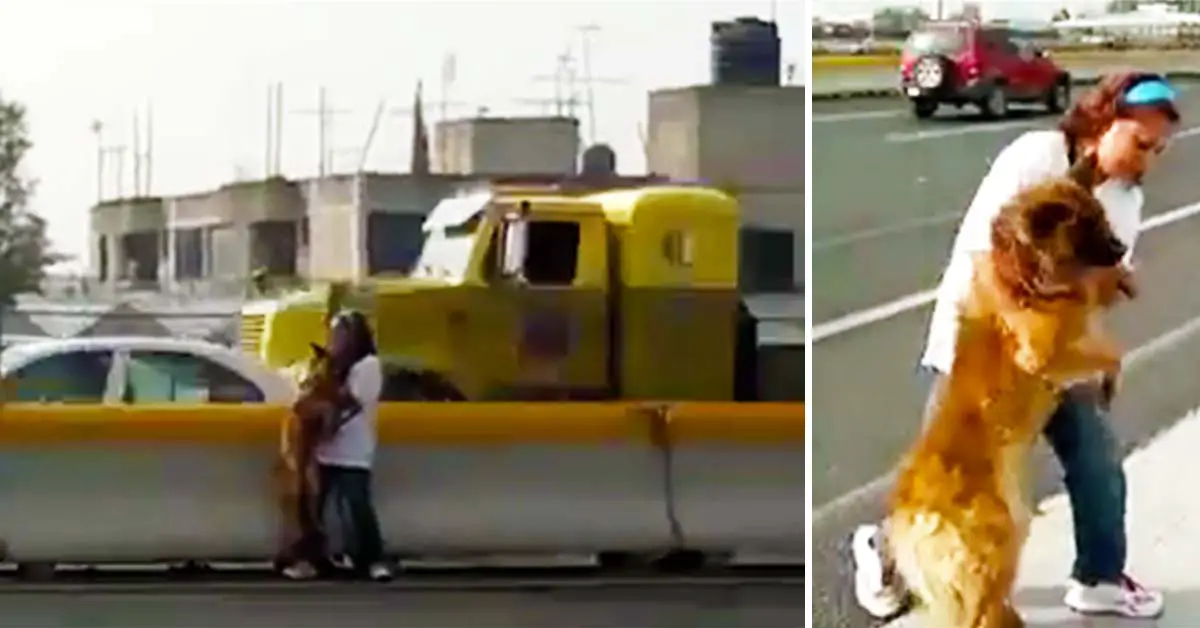 woman saves dog