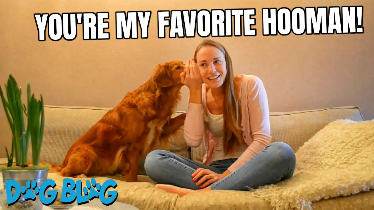 dog human whisper secrets