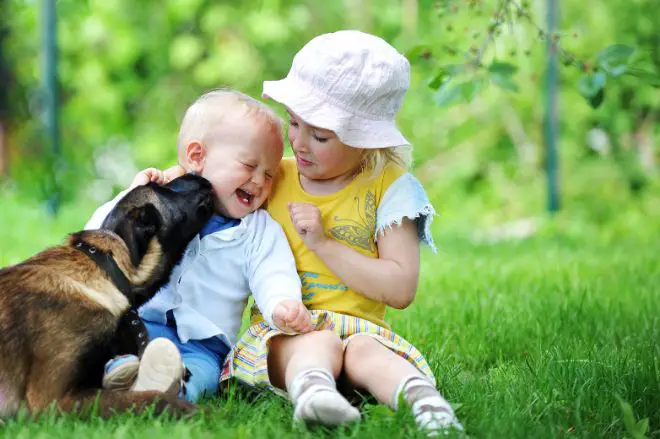 Dog with Baby