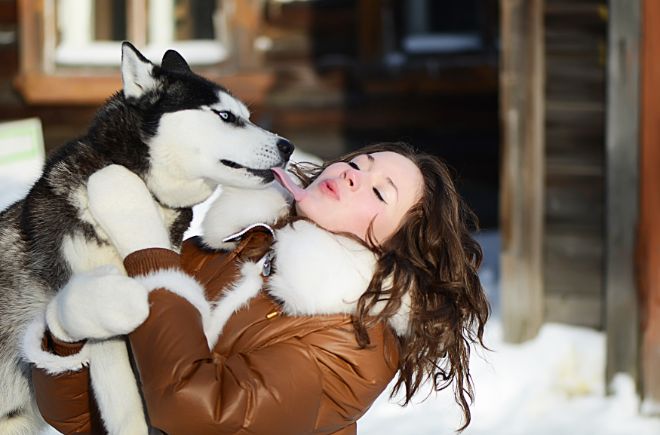 Husky Talkative