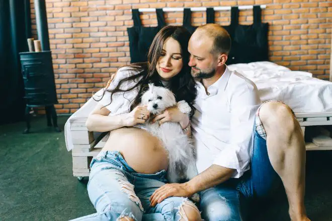 Dog with Pregnant Human