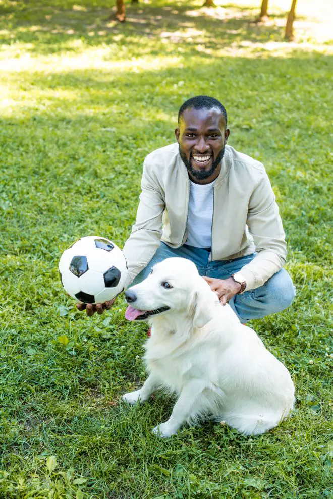 Dog Playing Soccer