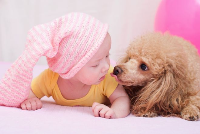 Dog with Baby