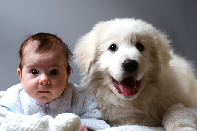 Dog with Baby