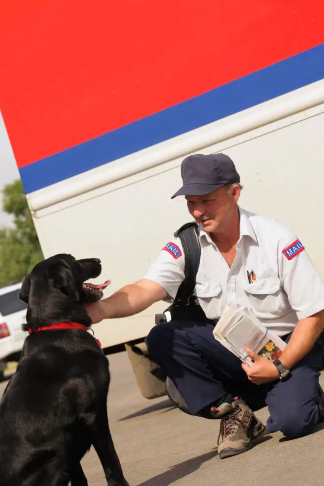 Dog Mailman