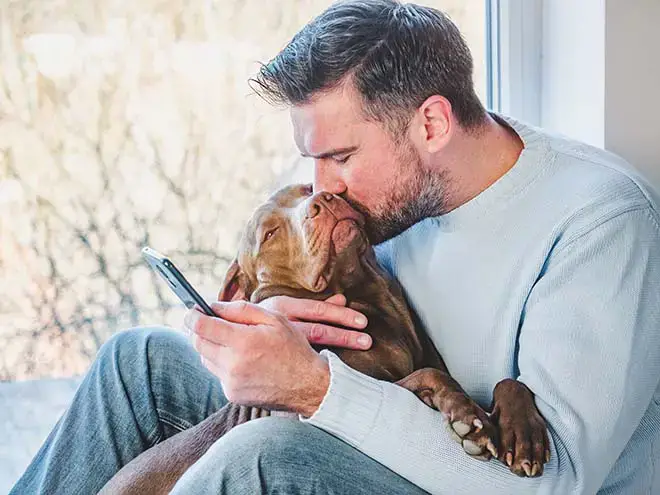 pit bull cuddling