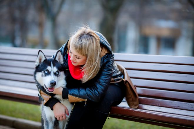 Husky Talkative