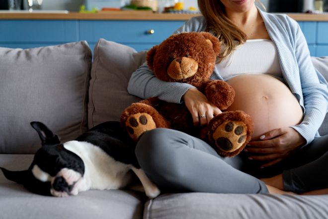 mother-tells-her-puppy-she-is-pregnant-and-she-approves