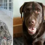 Army Vet and Dog reunited