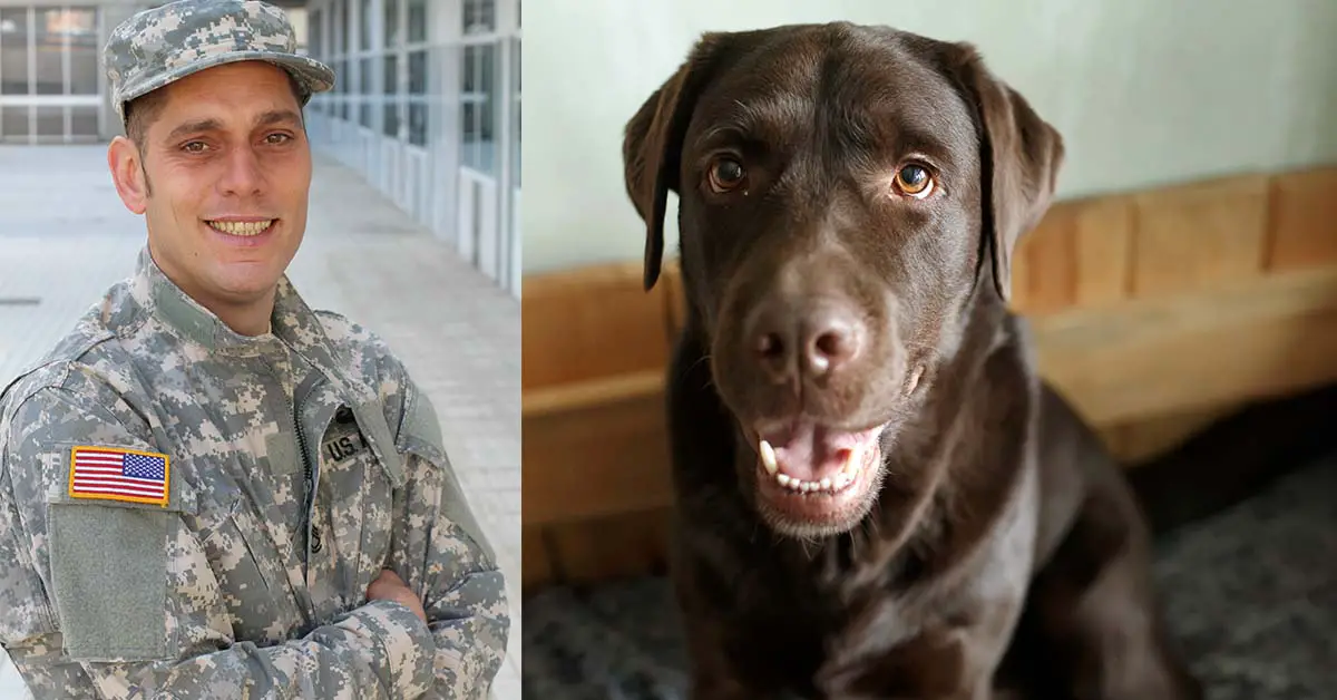 Army Vet and Dog reunited