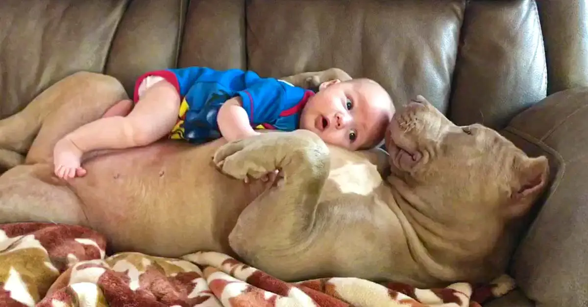 baby lays on dog