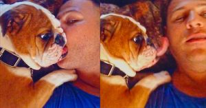 Bulldog Puppy Loves Kisses
