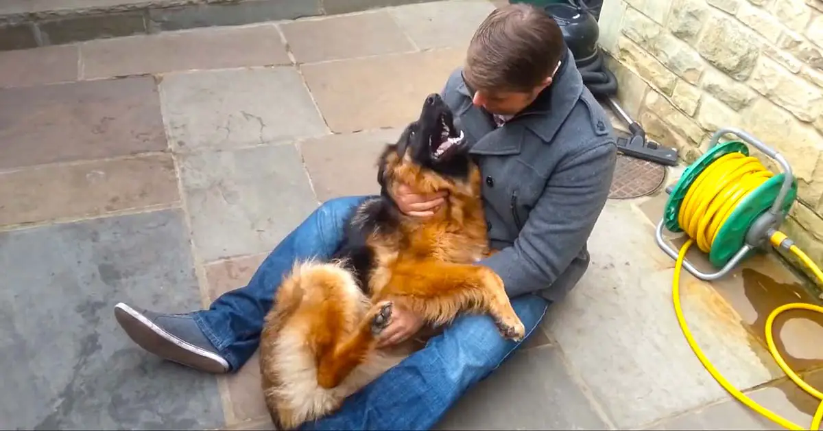 Dog cries with happiness